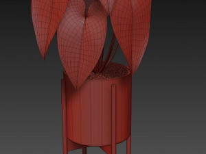 Plants collection 518 3D Model