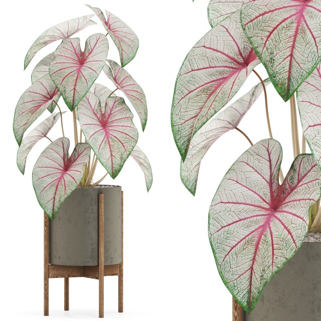 Plants collection 519 Modelo 3D .c4d .max .obj .3ds .fbx .stl .blend 