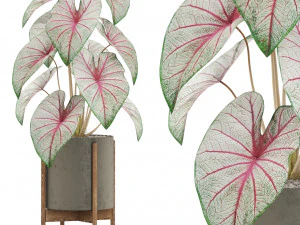 Colecci&oacute;n de plantas 519 Modelo 3D