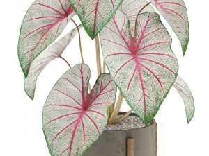 Plants collection 519 Modelo 3D