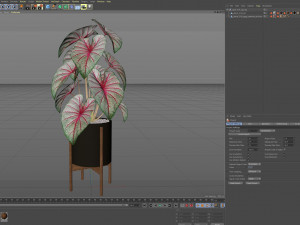 Plants collection 519 Modelo 3D
