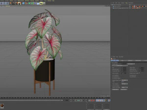 Plants collection 519 3D Model