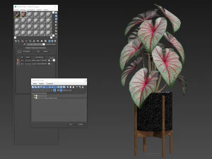 Plants collection 519 3D Model