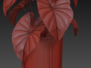 Plants collection 519 Modelo 3D