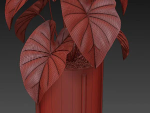 Plants collection 519 3D Model