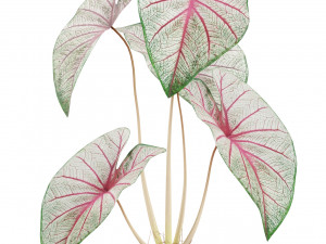 Plants collection 521 3D Модель
