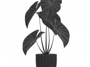 Plants collection 521 3D Модель