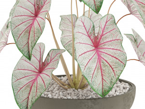 Plants collection 522 3D 모델