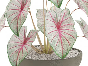 Plants collection 522 3D Model