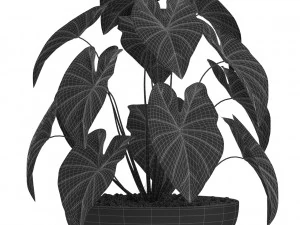Plants collection 522 3D Model