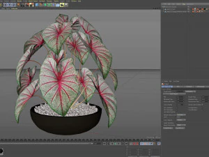 Plants collection 522 3D Model