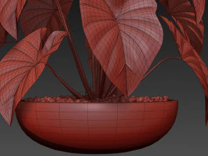 Plants collection 522 3D Model