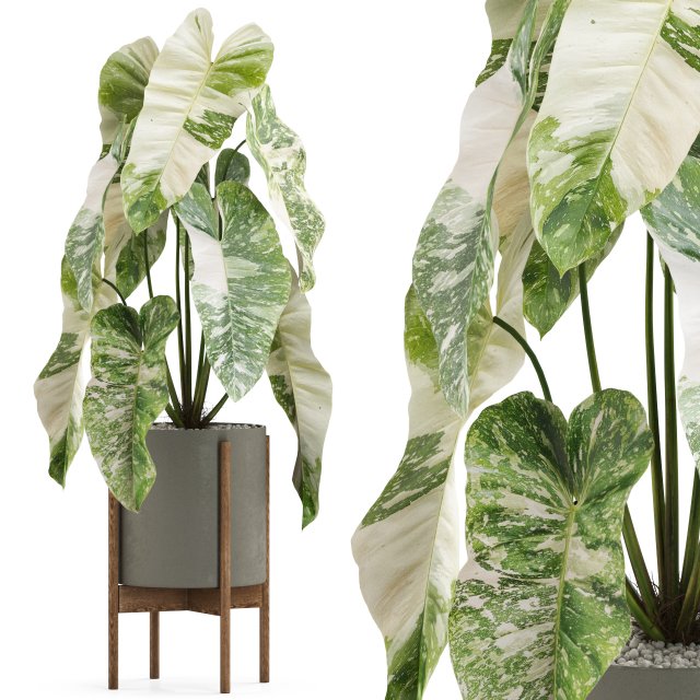Plants collection 522 Model 3D .c4d .max .obj .3ds .fbx .stl .blend 