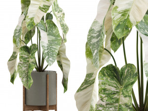 Plants collection 522 3D Модель