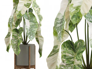 Plants collection 522 3D Model