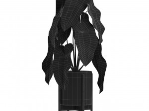 Plants collection 522 Model 3D