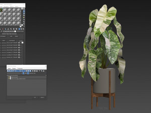 Plants collection 522 Model 3D