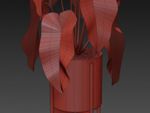 Plants collection 522 Model 3D