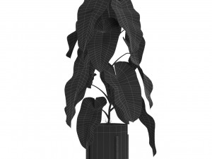 Plants collection 523 3D Model