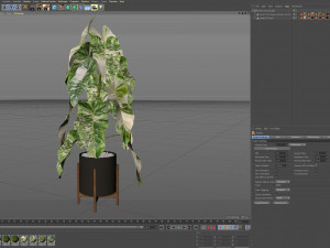 Plants collection 523 3D Model