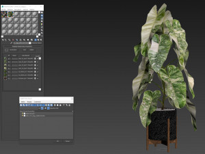 Plants collection 523 3D Model