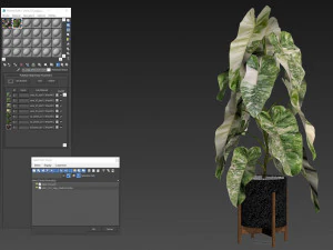 Plants collection 523 3D Model