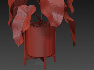 Plants collection 523 3D Model