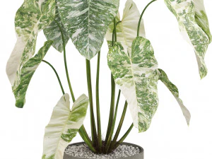 Kolekcja roślin 524 Model 3D