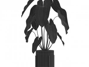 Kolekcja roślin 524 Model 3D