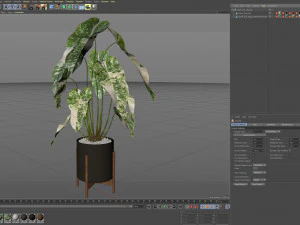 Kolekcja roślin 524 Model 3D