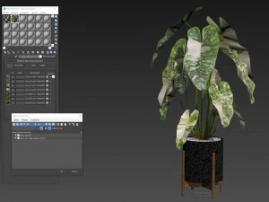 Kolekcja roślin 524 Model 3D