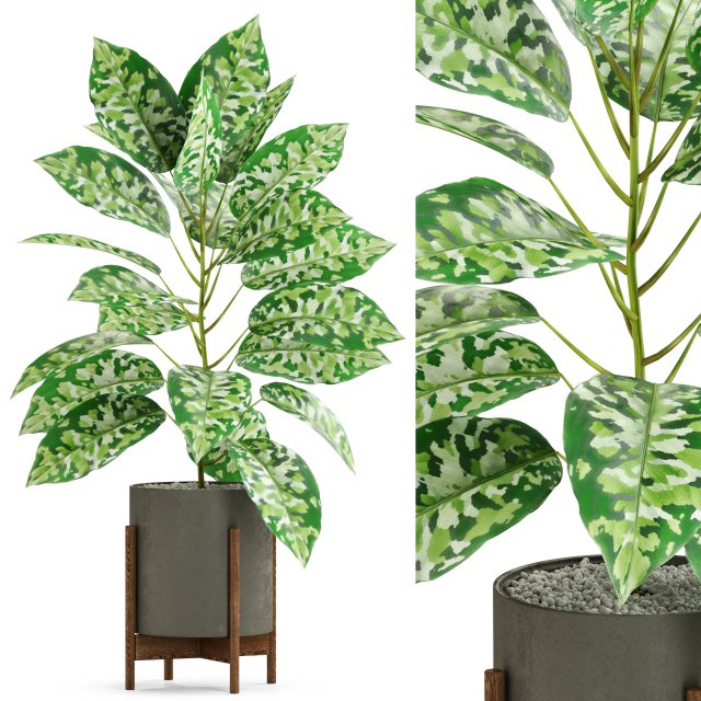 Plants collection 525 3D Model .c4d .max .obj .3ds .fbx .stl .blend 