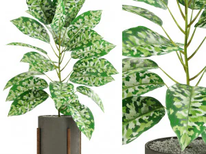 Collection de plantes 525 Modèle 3D