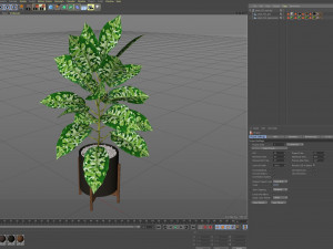 Plants collection 525 3D Model