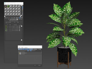 Plants collection 525 3D Model