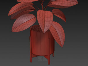 Plants collection 525 3D Model