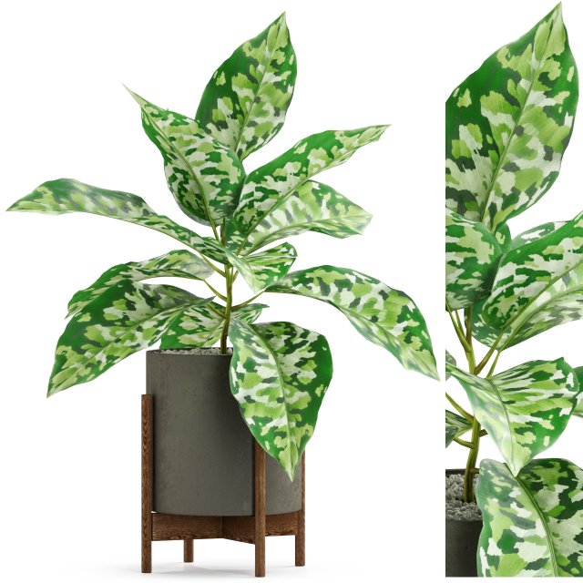 Plants collection 526 3D Model .c4d .max .obj .3ds .fbx .stl .blend