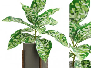 Kolekcja roślin 526 Model 3D