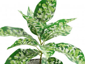 Plants collection 526 3D Model