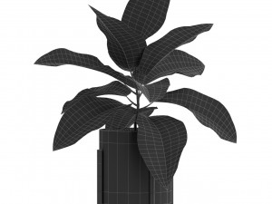 Plants collection 526 3D Model