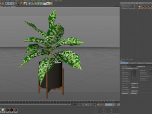 Plants collection 526 3D Model