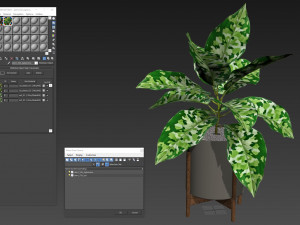 Plants collection 526 3D Model
