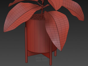 Plants collection 526 3D Model