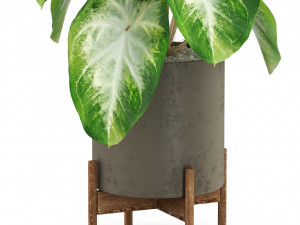 Plants collection 527 3D Model