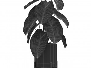 Plants collection 527 3D Model