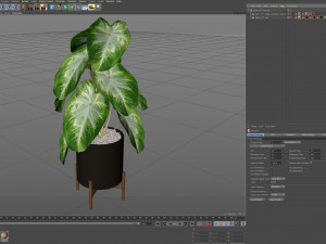 Plants collection 527 3D Model