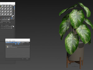 Plants collection 527 3D Model