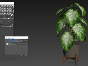 Plants collection 527 3D Model