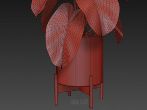 Plants collection 527 3D Model