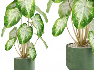 Kolekcja roślin 528 Model 3D